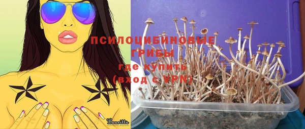 крисы Алексеевка