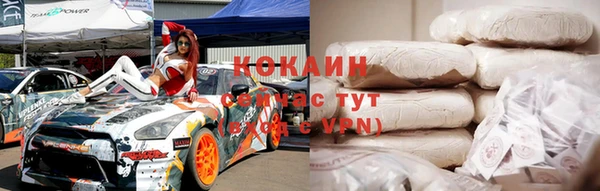 шишки Алексин