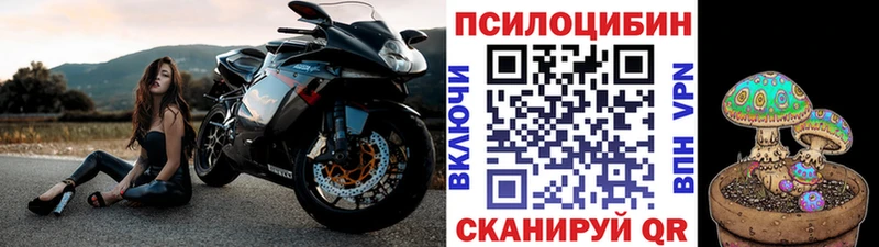 Галлюциногенные грибы Psilocybe  Находка 